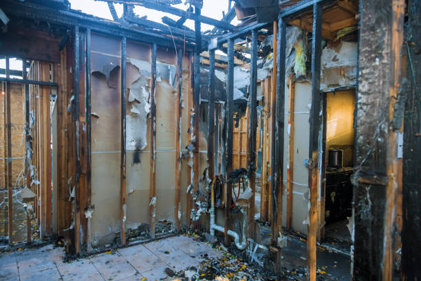 Professional Soot Removal technician working in Morton, WA